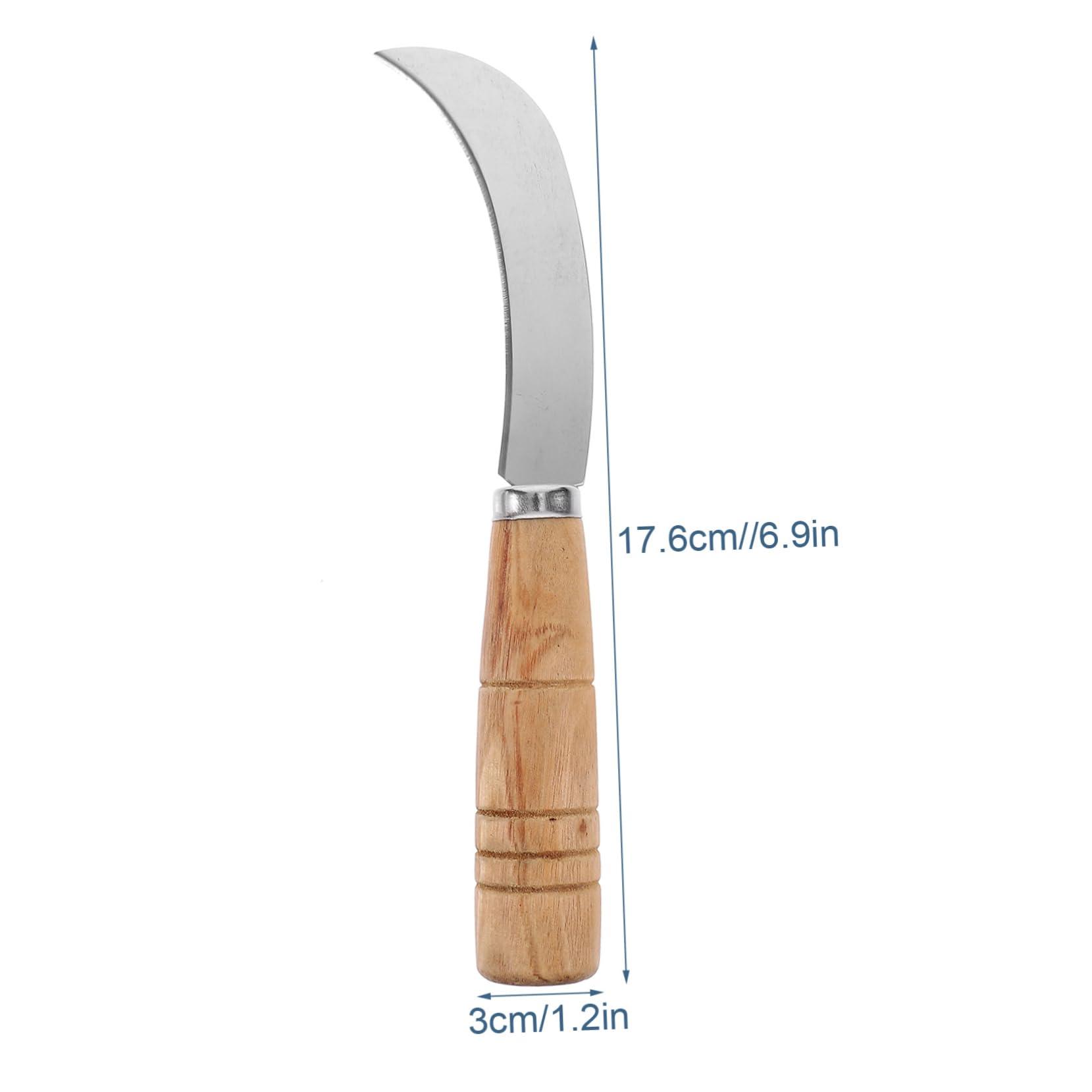 Homilay Homilay King Size Bed Sheet Set - 4 Piece Soft Microfiber Sheets with Deep Pockets, Cooling Technology, and Wrinkle-Free Pillowcase. Hotel-Quality, Durable Bedding, Viva Magenta