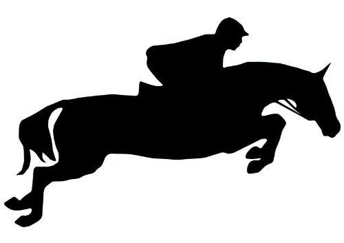 Scheinenda Scheinenda 3-Way Light Bulbs 30 70 100 Watt Equivalent, Perfect for Reading, Standard A19 Indoor Led Bulb Warm White 3000K, 15 Watt Energy Efficient Bulb, 1600 Lumens, 2Pack