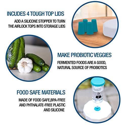 Fermentology Fermentology Sauer System Fermentation Airlocks – Lids, Grommets, Gaskets, Stoppers – for Regular Mouth Mason Jars – 4 Pack