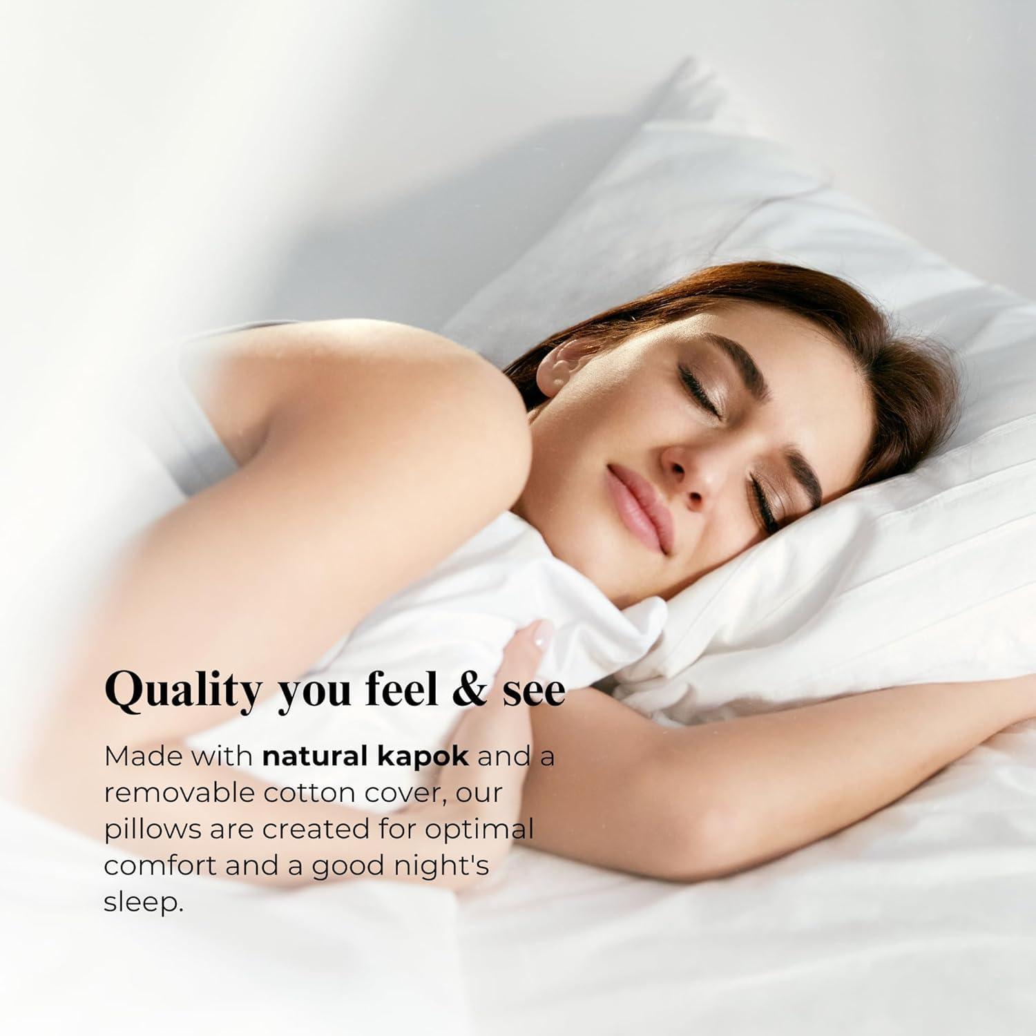 A. O. Smith A.O. Smith B2853 1 HP, 3450 RPM, 1 Speed, 230/115 Volts, 6.6/13.2 Amps, 1.25 Service Factor, 56Y Frame, PSC, ODP Enclosure, Square Flange Pool Motor