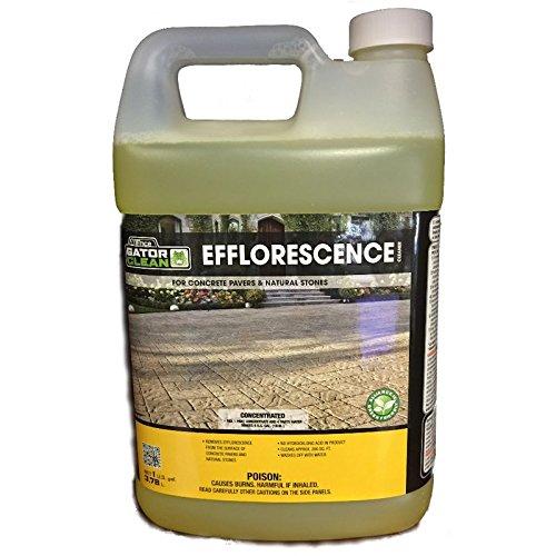 Alliance Gator Clean Alliance Gator Clean Efflorescence Cleaner 1 Gal for Pavers & Natural Stone