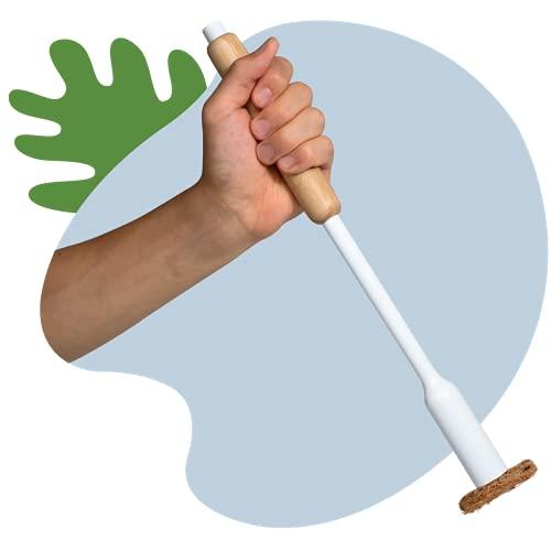 TUSHY TUSHY Brush - The Conscious Toilet Brush - Lemon & Tea Tree Oil-Infused Coconut Husk Scrubbing Pads - Includes Brush and Brush Holder