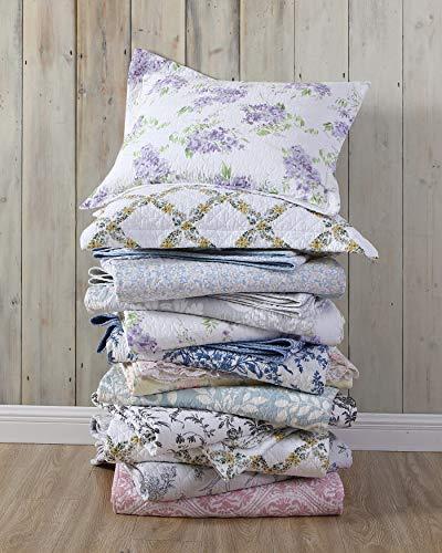 Laura Ashley Laura Ashley Home - Queen Quilt Set, Cotton Reversible Bedding with Matching Shams, Bedroom Decor Ideal for All Seasons (Brompton Green, Queen)