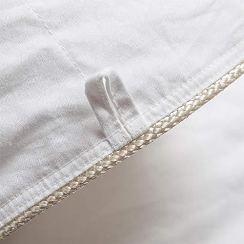 Egyptian Cotton Factory Outlet Store Egyptian Cotton Factory Outlet Store 800 Thread Count Light Weight Goose Down Comforter, White, King
