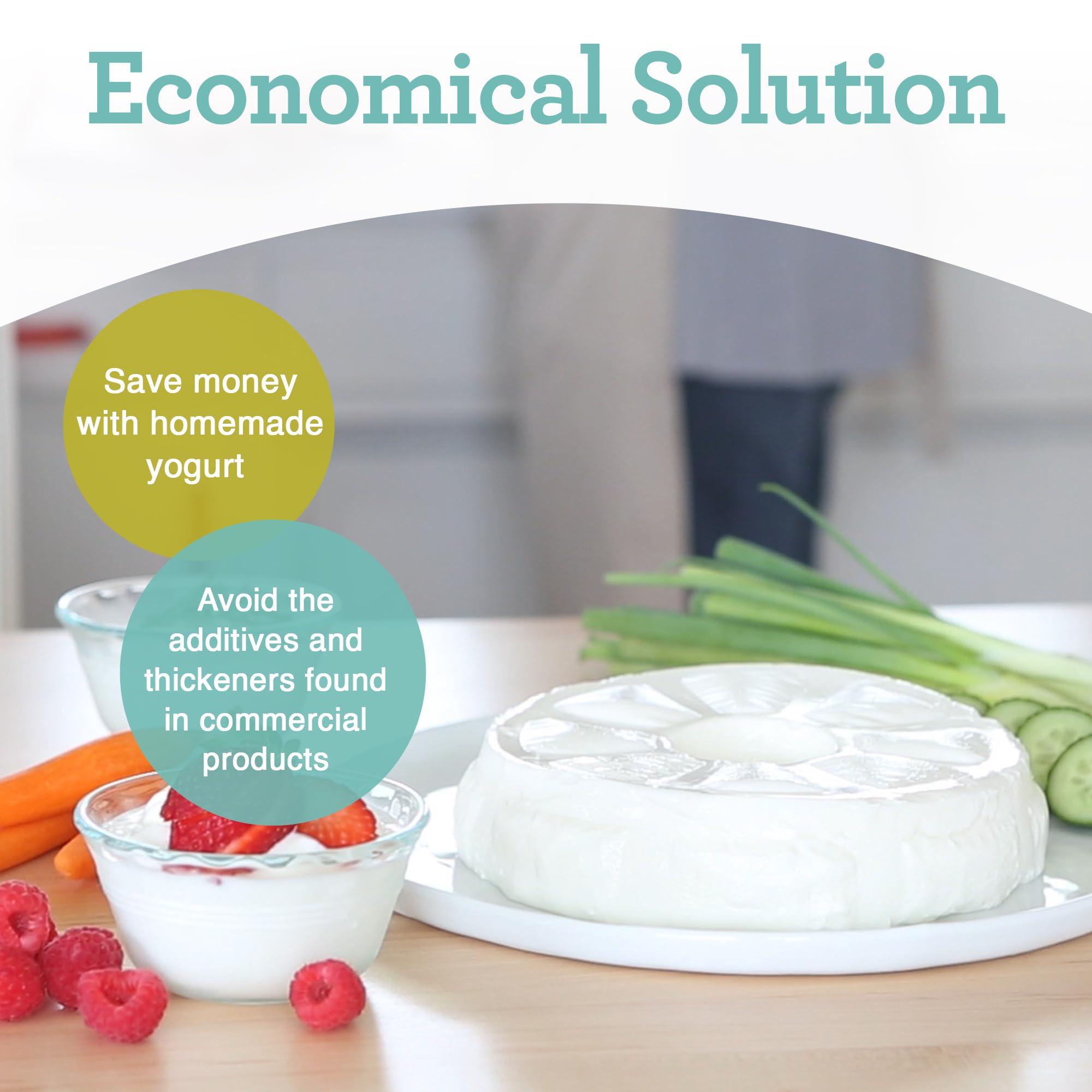 Euro Cuisine Euro Cuisine GY50 Greek Yogurt Maker with Ultra Fine Mesh Strainer Basket, BPA Free, Patented Greek Yogurt Strainer for Homemade Greek Yogurt (White)