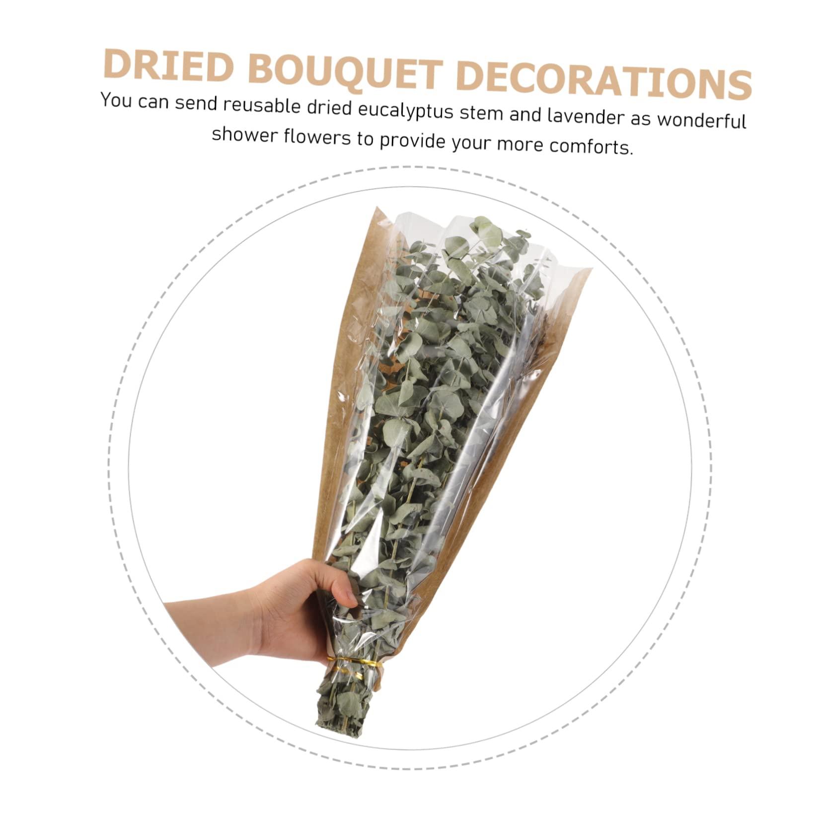 Ciieeo Ciieeo 1 Eucalyptus Shower Plant Real Eucalyptus Branches Dried Lavender Shower Preserved Eucalyptus Stem Lavender Bundles for Shower Dried Eucalyptus Stem Dried Flowers