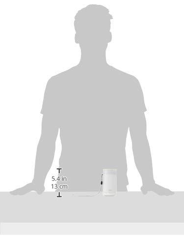 TOTO Toto HW300-W Portable Travel Washlet, White - HW300#W, 180 ml