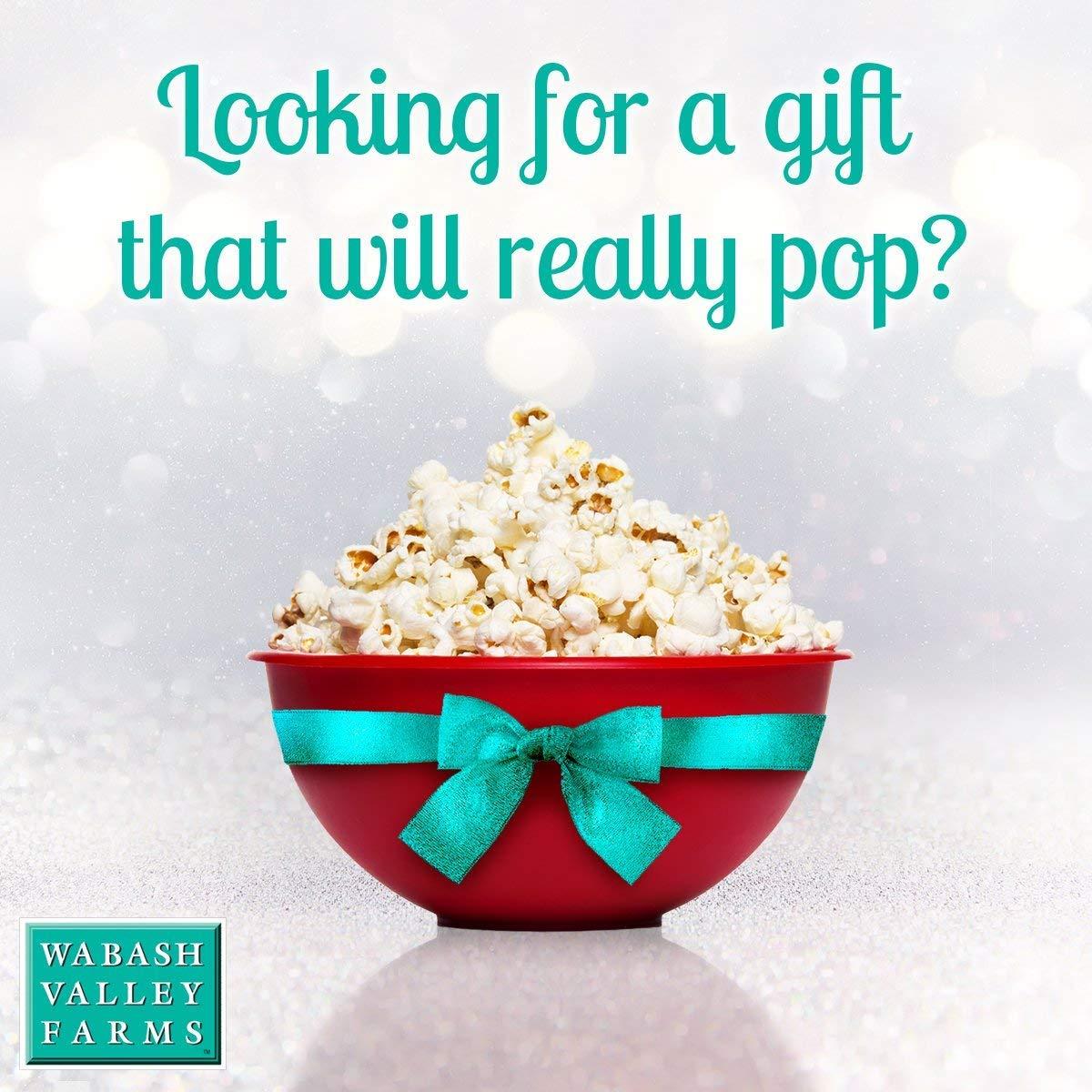 Wabash Valley Farms Original Whirley Pop Popcorn Maker - 6 Quart Stovetop Popcorn Popper With Four Popping Kits, Aluminum Popcorn Pot With Metal Gears, Wabash Valley Farms Stove Top Popcorn Maker, Popcorn Pan (Silver)