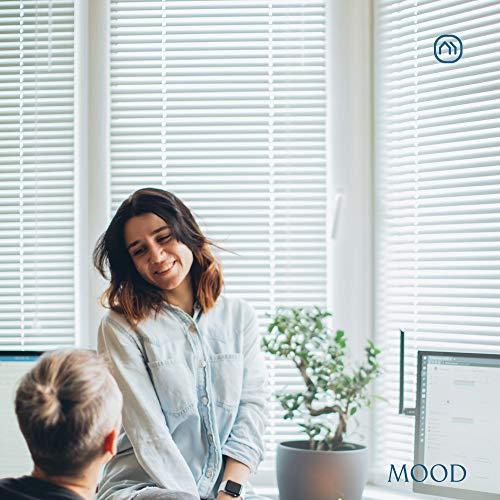 Mood MOOD 1" Aluminum Mini Blinds | 31 inch Blinds for Windows | 1" Cordless Aluminum Window Treatment | Premium White (Aluminum) | 31 Width x 72 Height