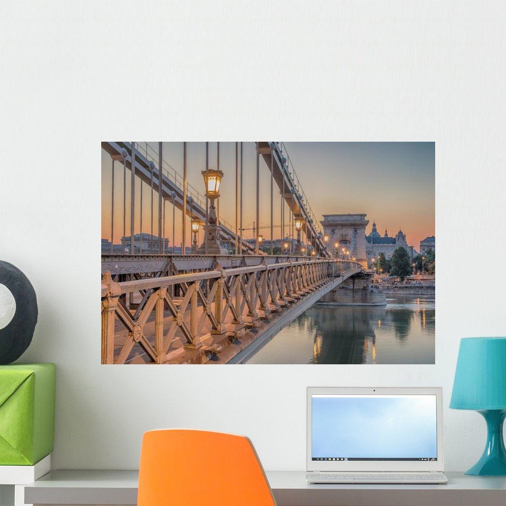 Novelty Lights Novelty Lights C7 Clear Christmas Lights Set - Indoor/Outdoor Christmas Light String Hanging Christmas Lights - Outdoor Patio String Lights - Brown Wire - 25 Foot