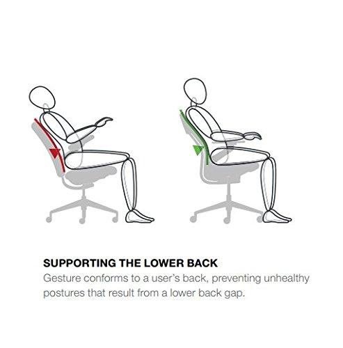 Steelcase Steelcase Gesture Task Chair: Shell Back - Platinum Metallic Frame/Base/Seagull Accent - Adjustable Lumbar Support - Standard Carpet Casters