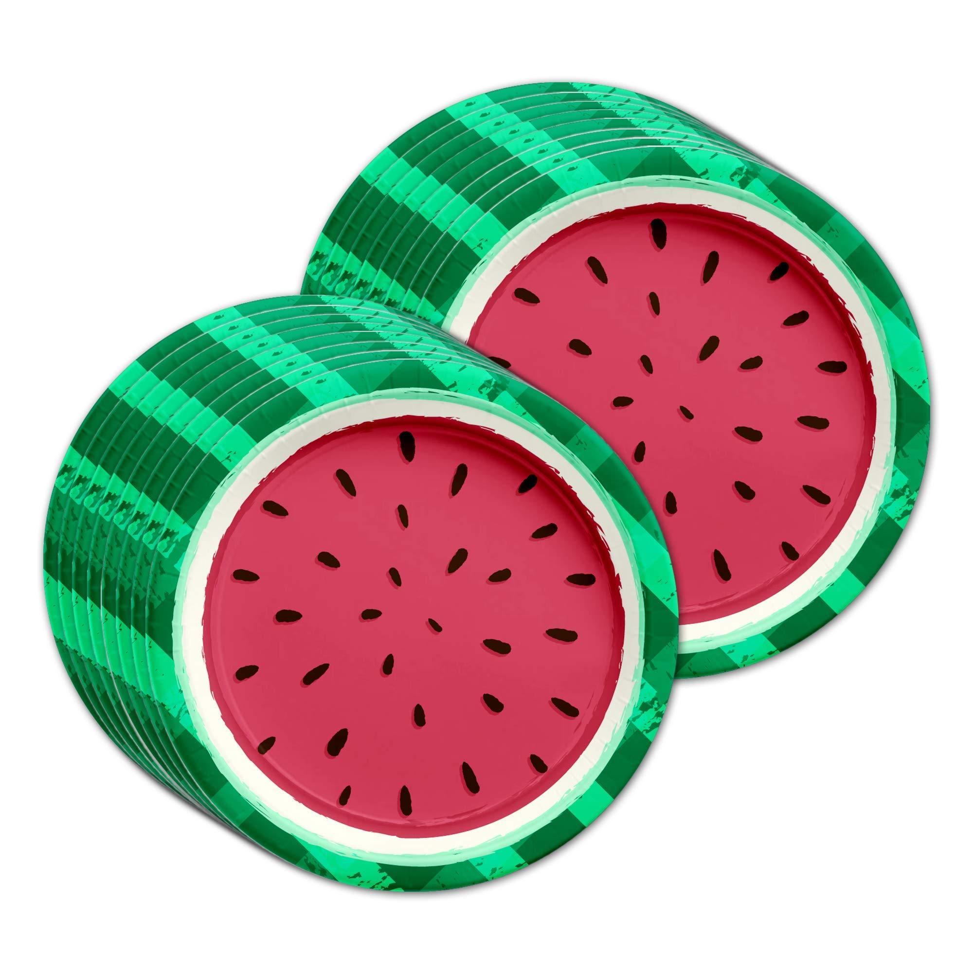 Birthday Galore Watermelon Birthday Party Supplies Set Plates Napkins Cups Tableware Kit for 16