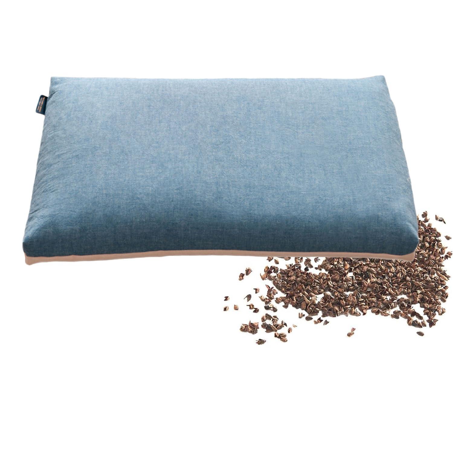 OvOHapia OvOHapia Japanese Buckwheat Pillows, Japanese Buckwheat Pillows for Sleeping, Comfy Comfy Buckwheat Pillow (Blue,21 * 11in)