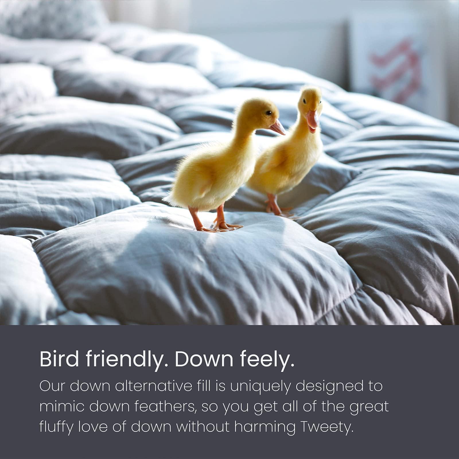 Layla Layla All Season Down Alternative Comforter, (Gray, Twin/Twin XL), 300 Thread Count 100% Cotton Fabric with Corner Loops