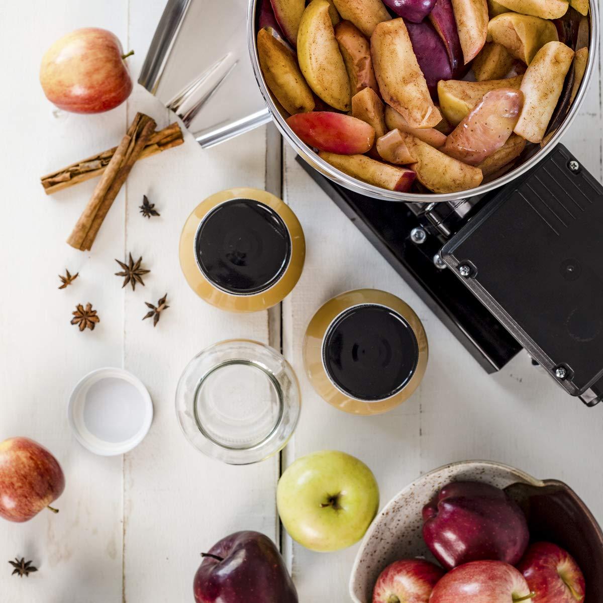 Raw Rutes Raw Rutes - Electric Tomato Strainer Machine - Made in Italy - Perfect for Canning Tomato Purees, Sauces and More! (No. 3)