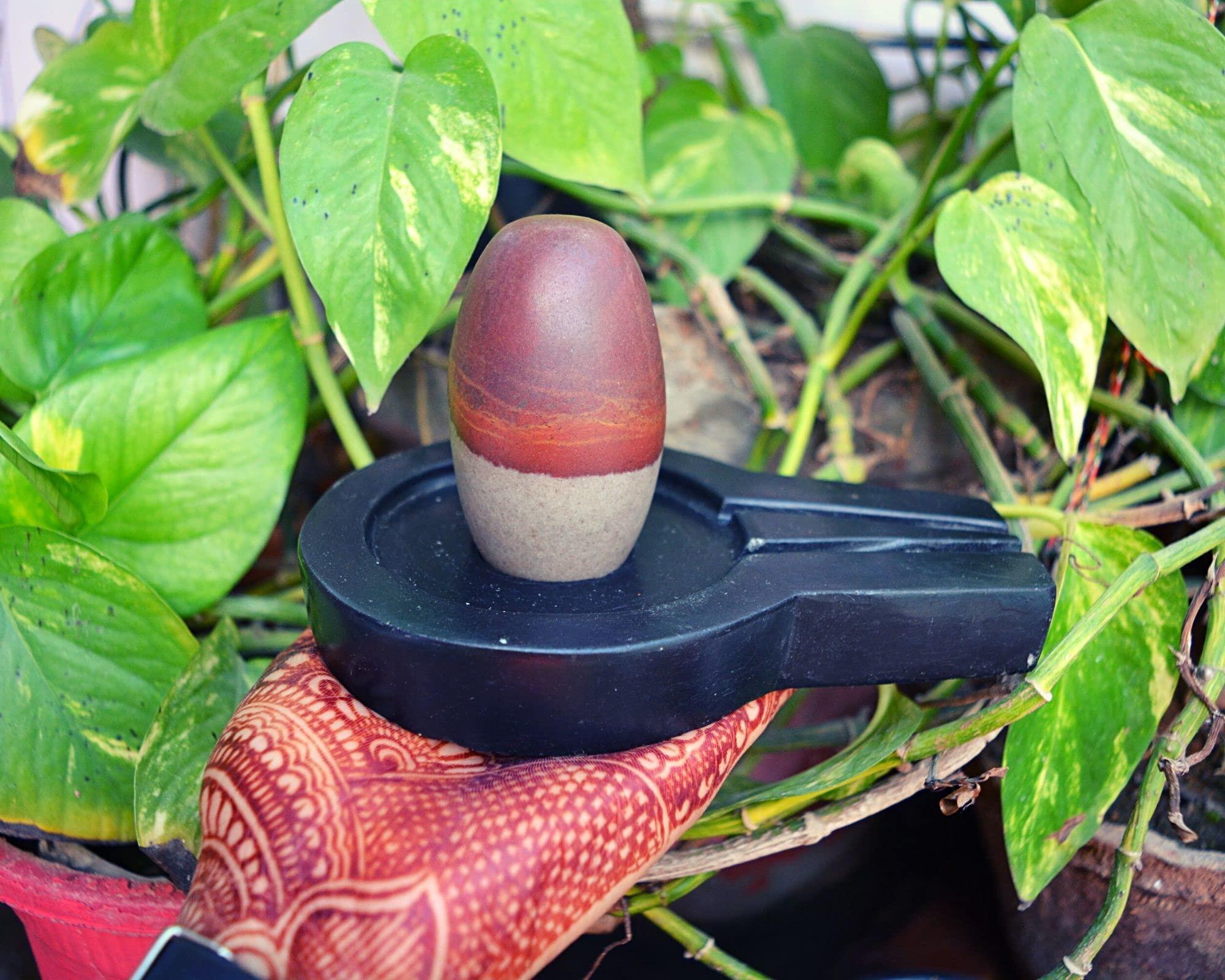 Shiva Lingam Shop 3" Narmadeshwaram Lingam with 6" Black Yoni Base Unique Shivlingam Set~I-5631