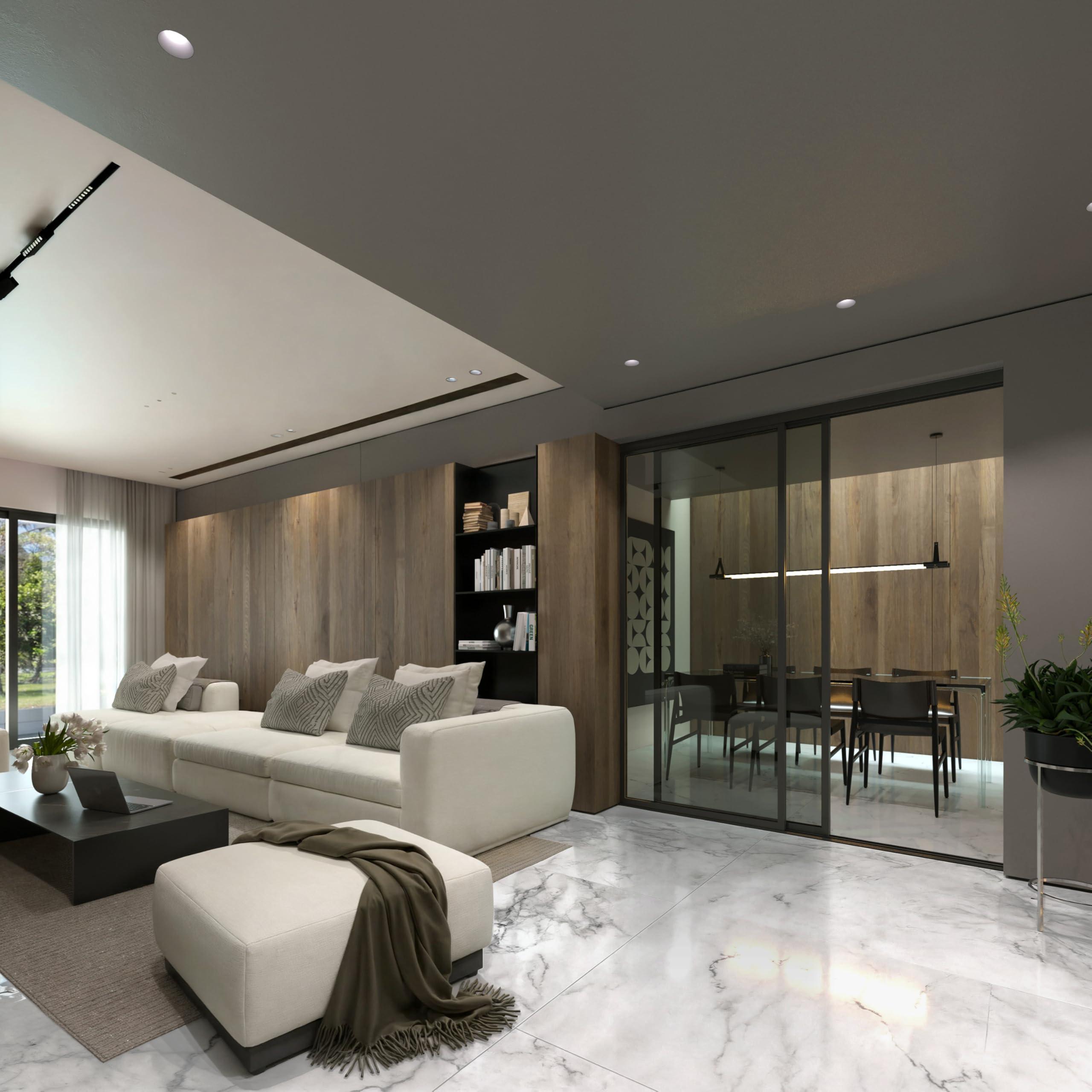 Doors55 Doors 55 Glass Room Divider Panel and Partition Wall, Partition Wall Divider & 2 Panel Room Divider - Perfect Wall Divider for Room Separation & Partition Room Dividers (Lite Smoked Glass, 72x80)