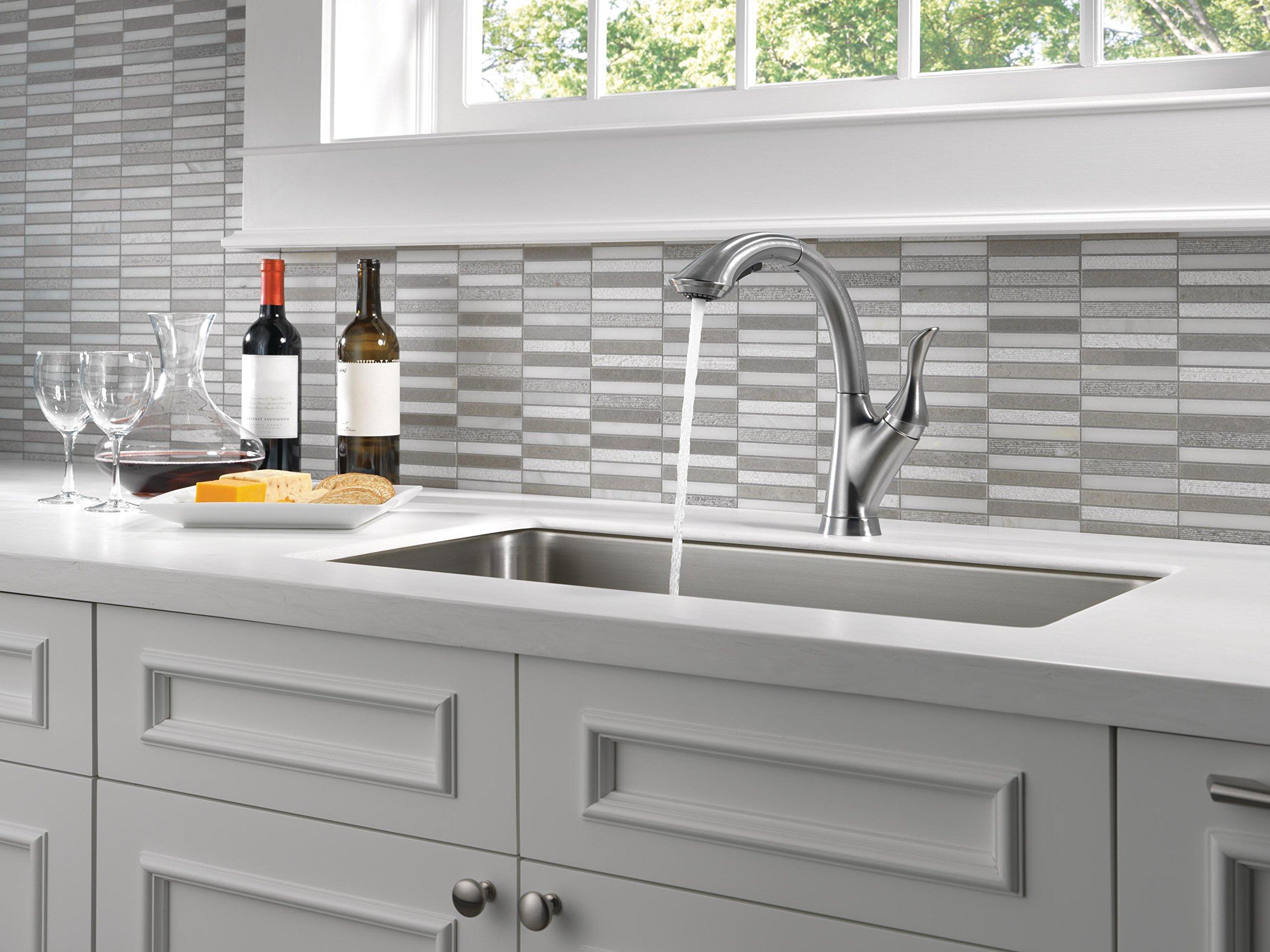 DELTA FAUCET Delta Faucet Linden Single-Handle Kitchen Sink Faucet with Pull Out Sprayer, Arctic Stainless 4153-AR-DST