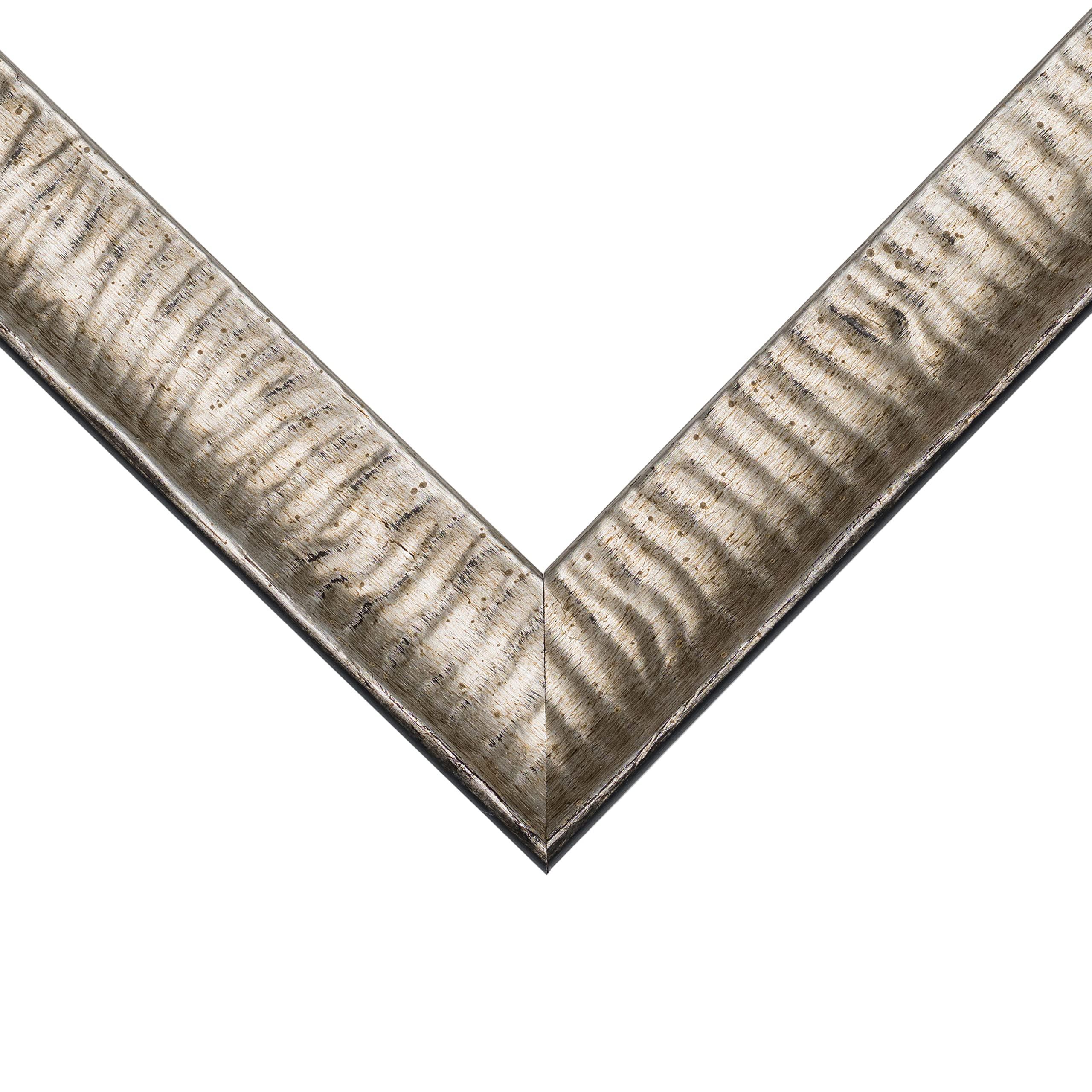 Craig Frames Craig Frames Safari, 11x15 Picture Frame, Silver