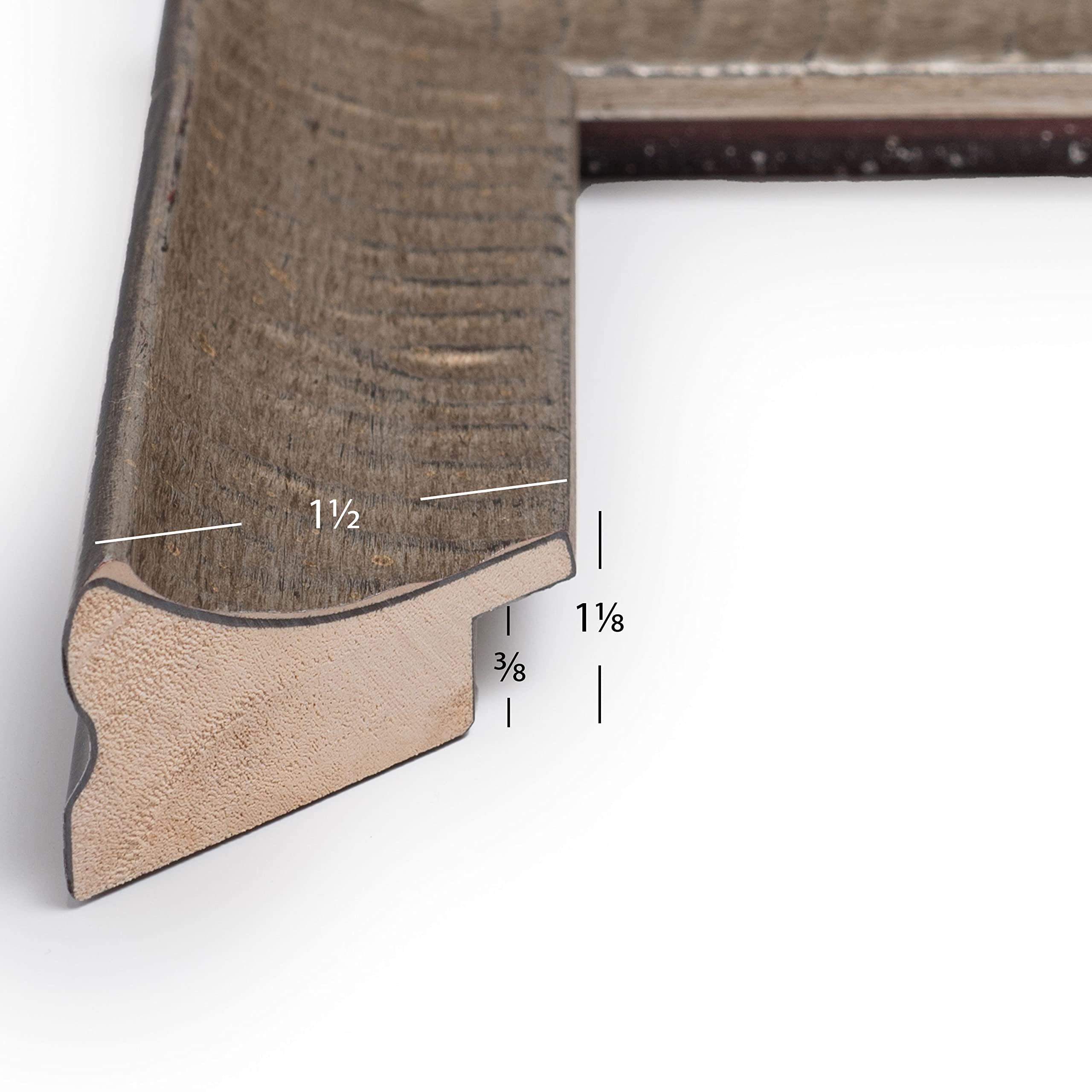 Craig Frames Craig Frames Safari, 11x15 Picture Frame, Silver