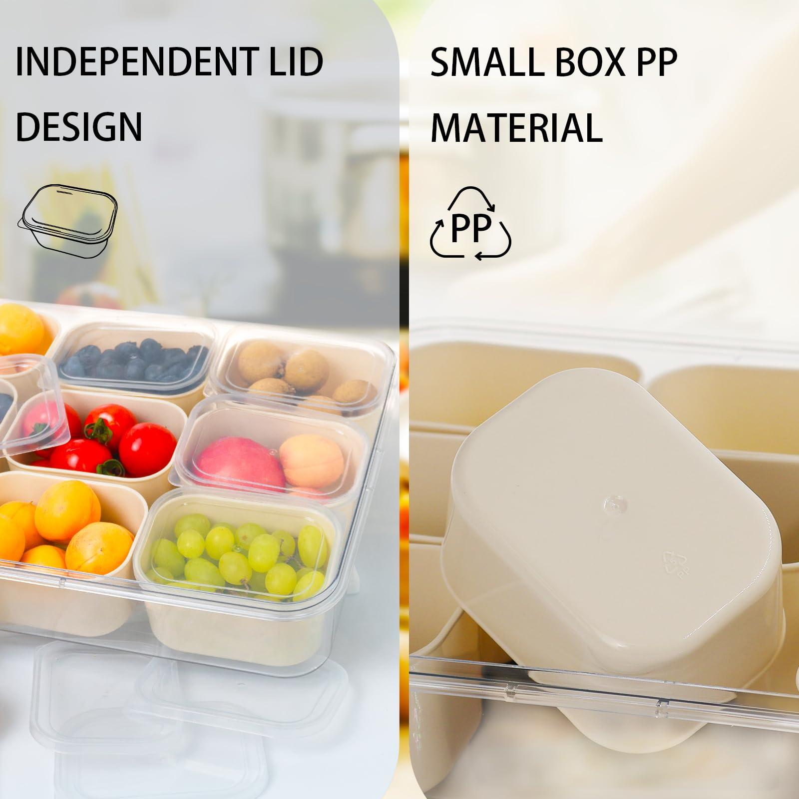 RELIY RELIY Dishwasher Safe Snackle Box Container,9-Compartment Snack Box With Lid,Divided Serving Tray With Lid And Handle,Divided Snack Box For Portable Snack Trays