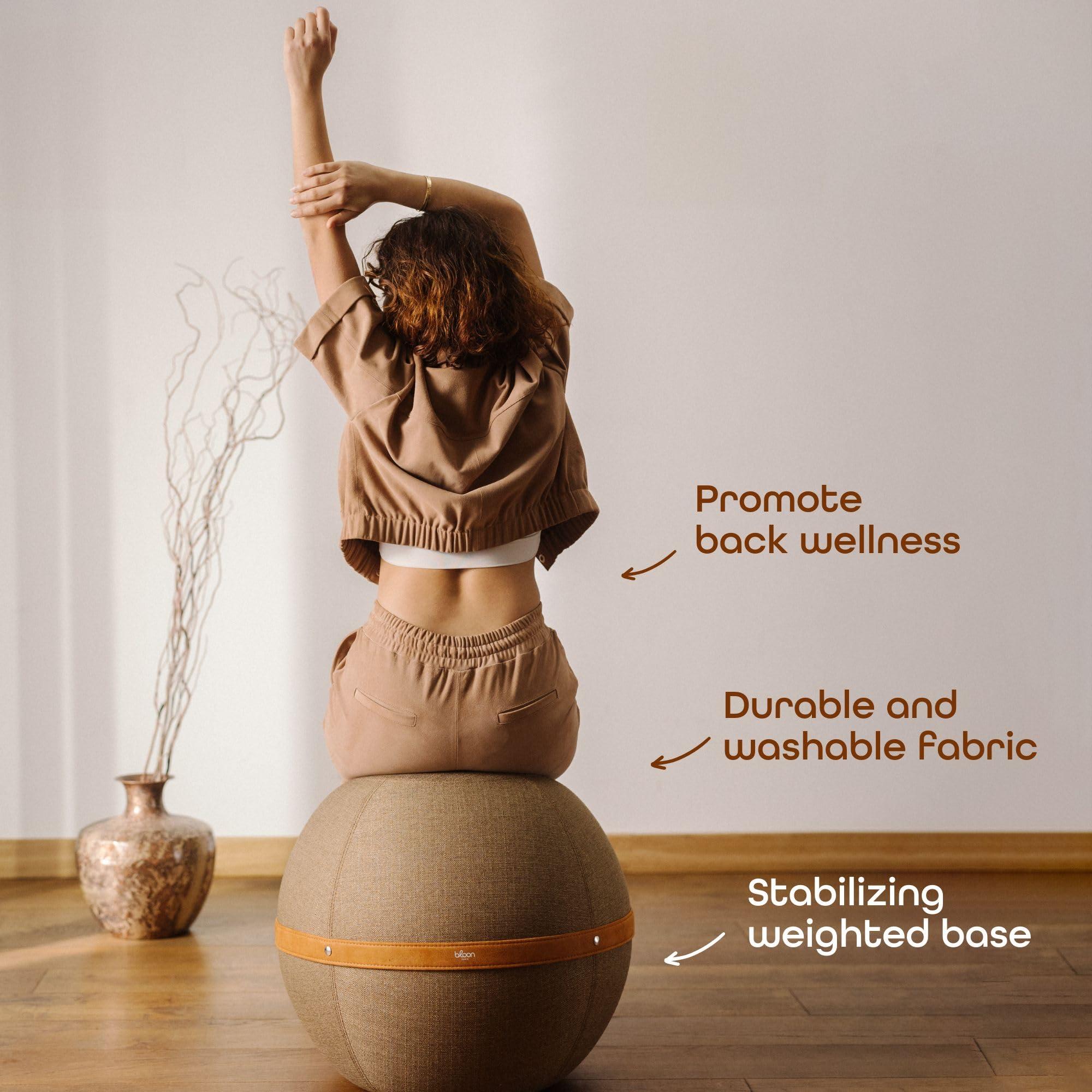 Bloon Paris Bloon Paris Ergonomic Sitting Ball Chair - Premium Desk Chair for Home and Office with Active Seating - Durable & Stylish Balance Ball Chair - Grey Platinium - Regular Size