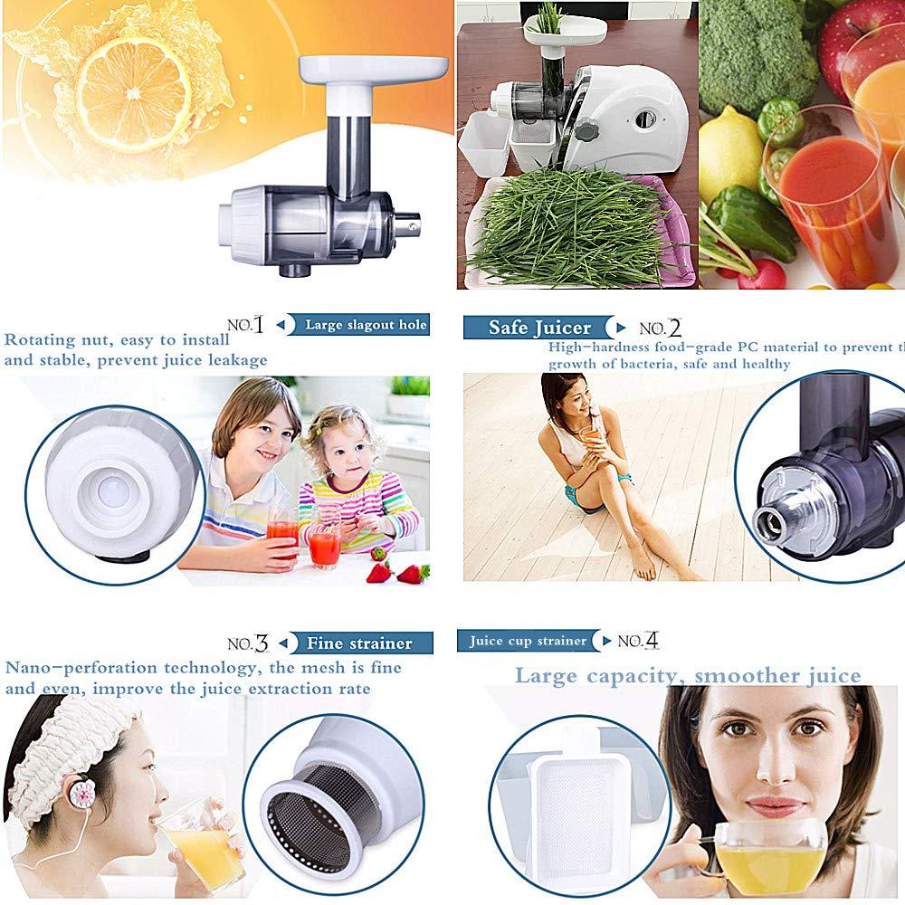 Normal Household Wheatgrass Juicer Multifunctional Electric Fruit Juicers Orange Apple Slow Masticating Juice Extractor Machine Original Healthy Juice Cold Press Juicer Maker (White)