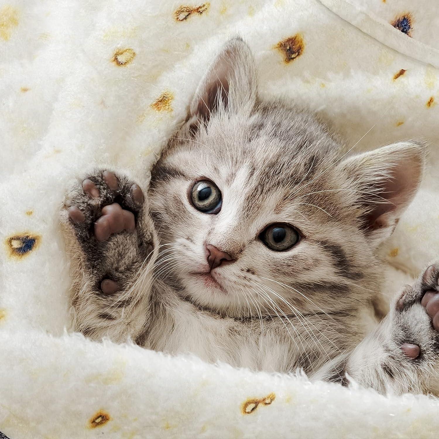 Lhedon Tortilla Blanket Baby, Baby Burritos Swaddle Blanket, Taco Blanket for Newborn Toddler, 285 GSM Soft Flannel Wearable Wrap Blanket Funny Gifts for Baby Shower Boy Girl 0-3 6 9 Months