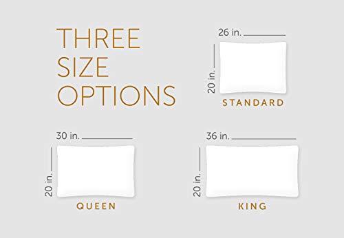 Courtyard by Marriott Courtyard by Marriott Feather & Down Pillow - Soft, Dual Chamber Feather and Down Pillow Exclusively for Courtyard - King (20" x 36")