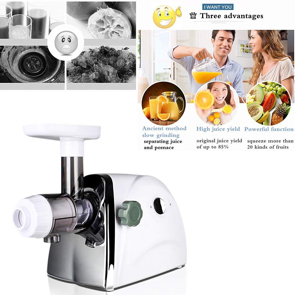 Normal Household Wheatgrass Juicer Multifunctional Electric Fruit Juicers Orange Apple Slow Masticating Juice Extractor Machine Original Healthy Juice Cold Press Juicer Maker (White)