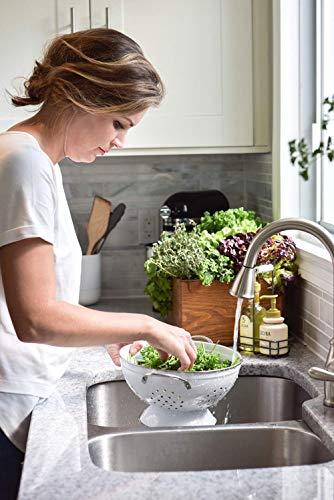 Fruits and Passion Fruits & Passion [Cucina] - Coriander & Olive Tree Dish Soap Refill, All Natural Dish Detergent Liquid Refill, Vegan & Cruelty-Free, Clear Dish Soap Liquid Refill (33.8 fl oz)