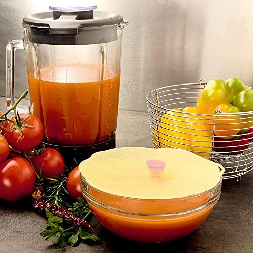 Charles Viancin Charles Viancin Lilypad Lid - Medium 9"