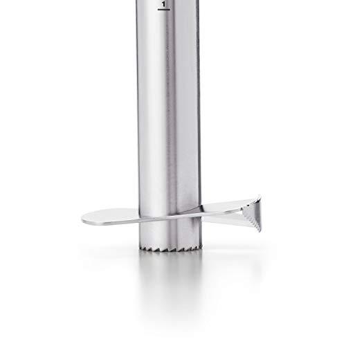 OXO OXO Good Grips Stainless Steel Pineapple Corer & Slicer,Silver/Black