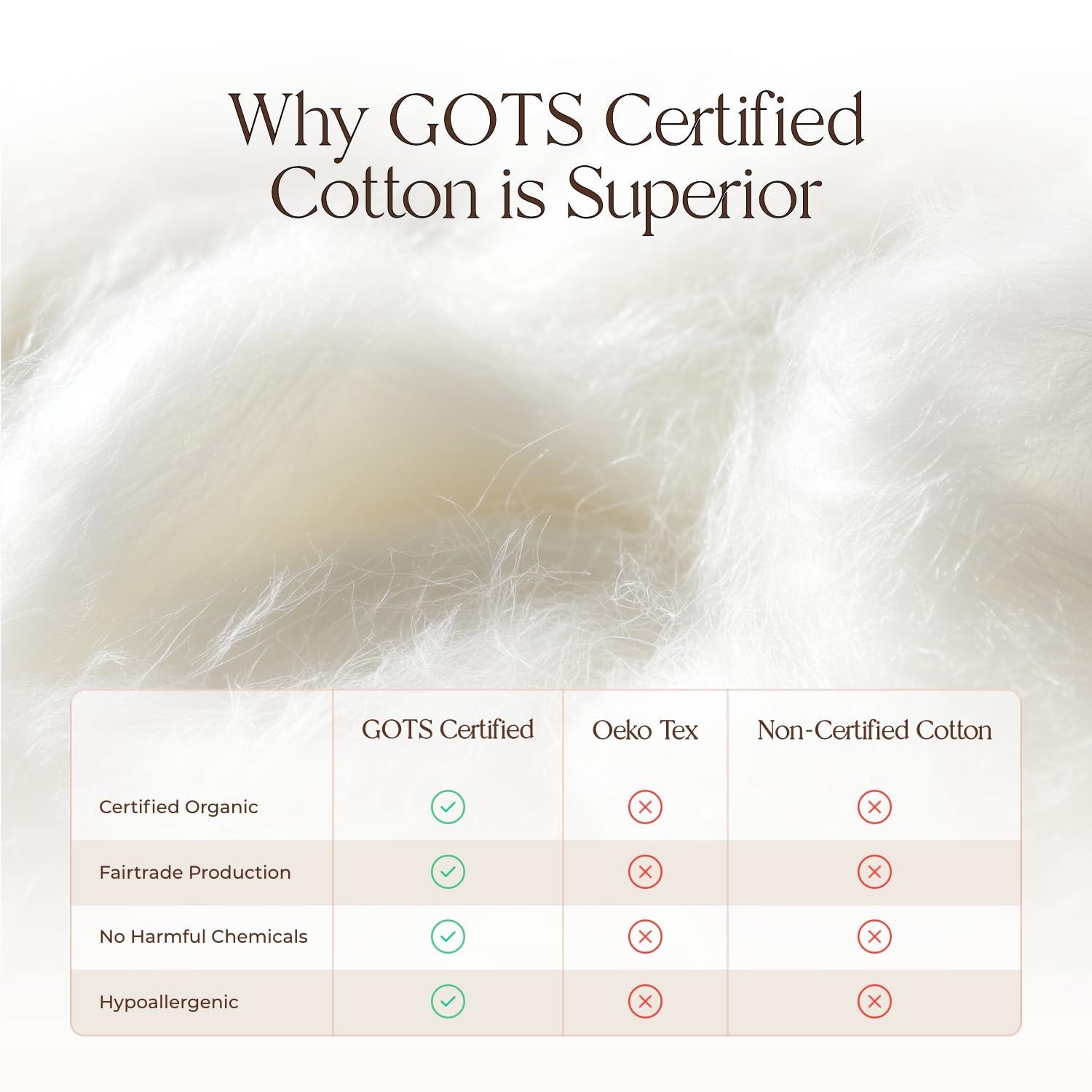 Whisper Organics 100% Organic Flannel Sheets King Size - GOTS Certified 100% Cotton Flannel Sheets Set with Comfortable Soft Brushed Finish & Deep Pocket - 1 Flat 1 Fitted & 2 Pillowcases (Dark Gray, King)