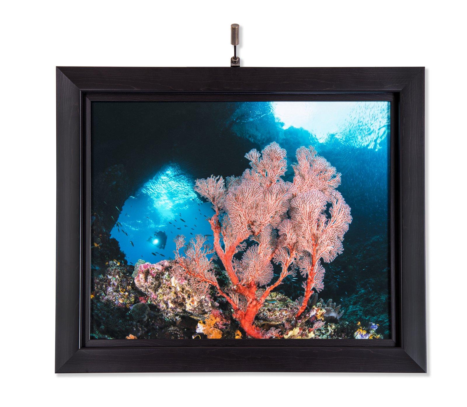 Situ Art Lighting Situ Lighting: Cordless and Rechargeable LED Art and Picture Light - Rechargeable Micro Series - 3000K - USA Made