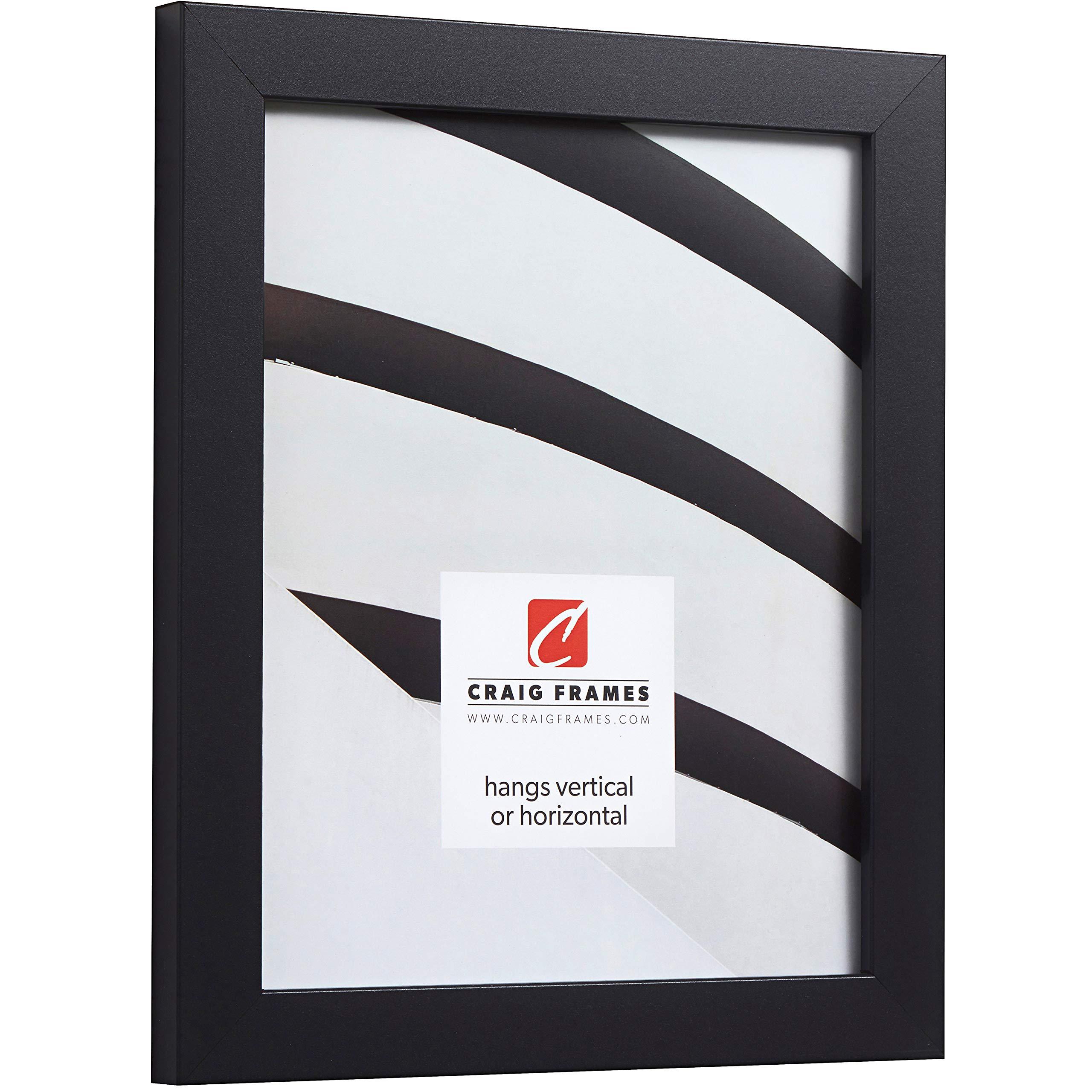 Craig Frames Craig Frames Essentials, Modern 1 Inch Picture Frame, 24 x 36 Inch, Black, Set of 4
