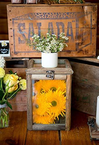 WEDDINGSTAR Rustic Wood and Glass Box with Hinged Lid Style 9554