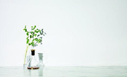 RBT RBT Decanter with Wood Coaster and Micro-Perforated Aerator