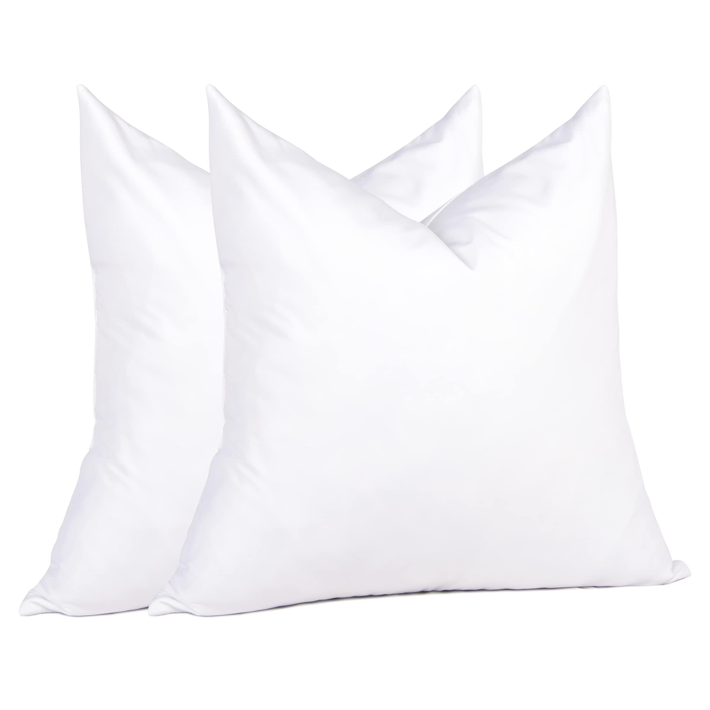 puredown puredown Feather Throw Pillow Inserts 22 x 22 (Pack of 2, White), Big Throw Pillows for Floor, Couch, Bed, Machine Washable