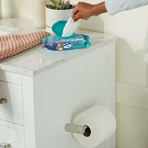 Charmin Charmin Flushable Wipes, 2 packs, 40 Wipes Per Pack, 80 Total Wipes