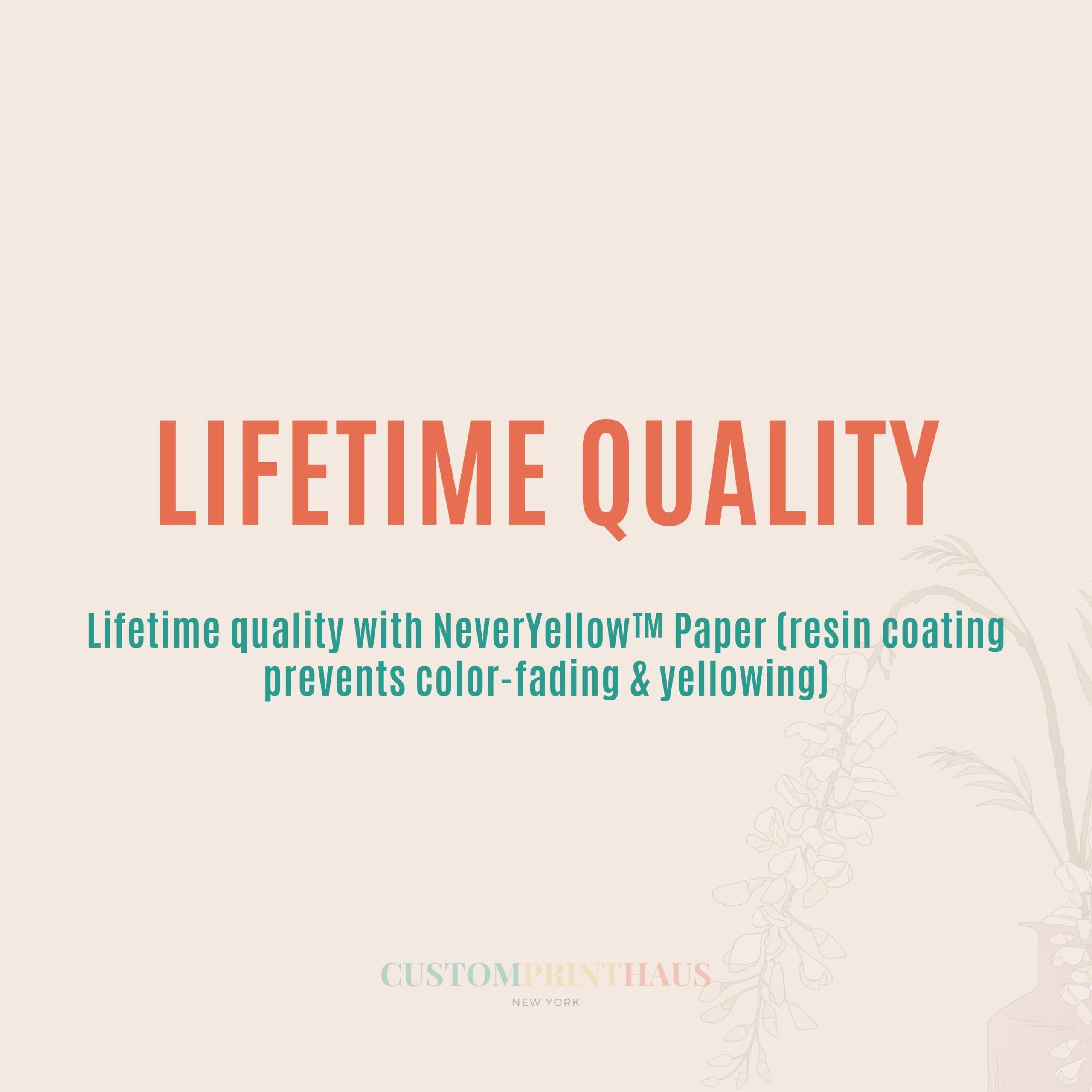 BTURYT 9L Commercial Food Warmer, Electric Chafing Dishes for Buffet, Buffet Servers and Warmers with Adjustable Temperature for Kitchen and Dining