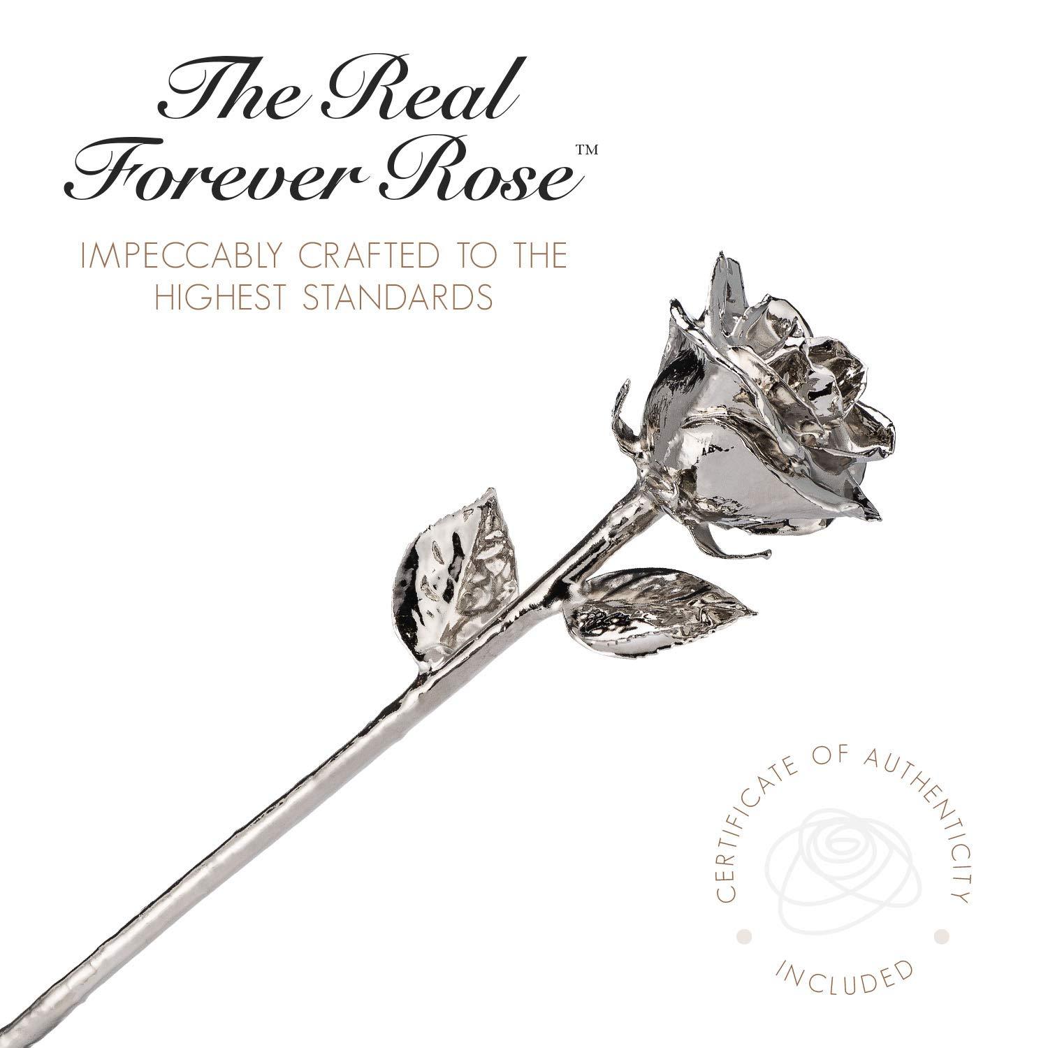 Forever Rose Forever Rose Real Platinum Rose, Genuine, One of A Kind, Hand Dipped & Everlasting Platinum Dipped Real Rose, Beautiful Forever Flower, Ideal Anniversary, and Romantic Valentine\'s Day Gifts for Women