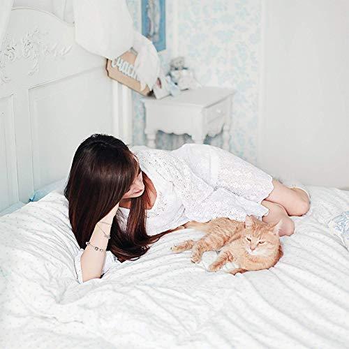 Plaza Cotton Collection Split-King (39x80) Adjustable Bed Size Sheets Soft Egyptian Cotton 5-PCs Sheet Set Fits Mattress 16-18\" Pockets, Black Color 550 Thread Count (Pattern : Solid)