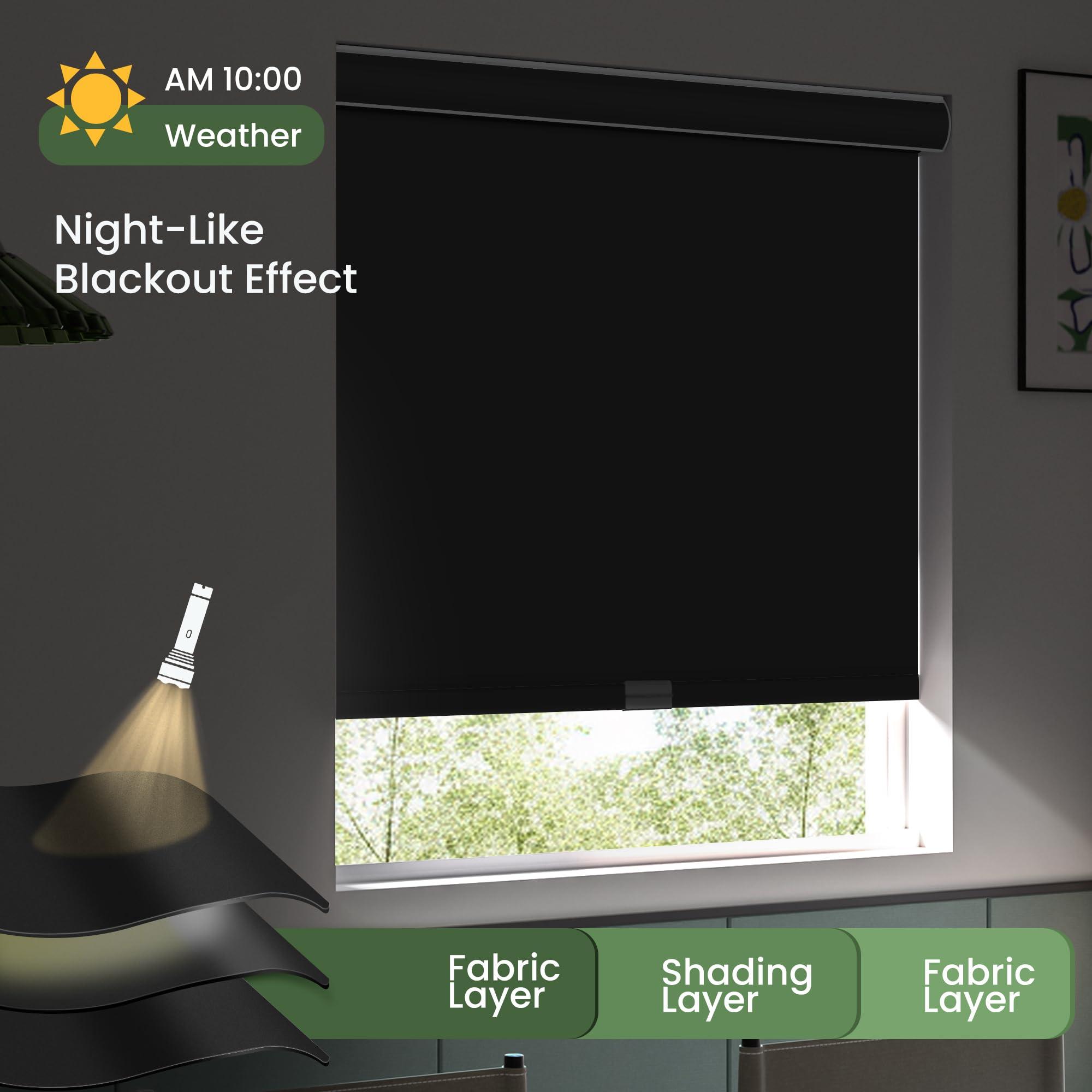 HOTSOON HOTSOON Blackout Roller Window Shades Cordless Simple Style Roller Shades Spring System Cassette Valance Roll Up Blinds for Windows, Door, Black, 56" W x 60" H