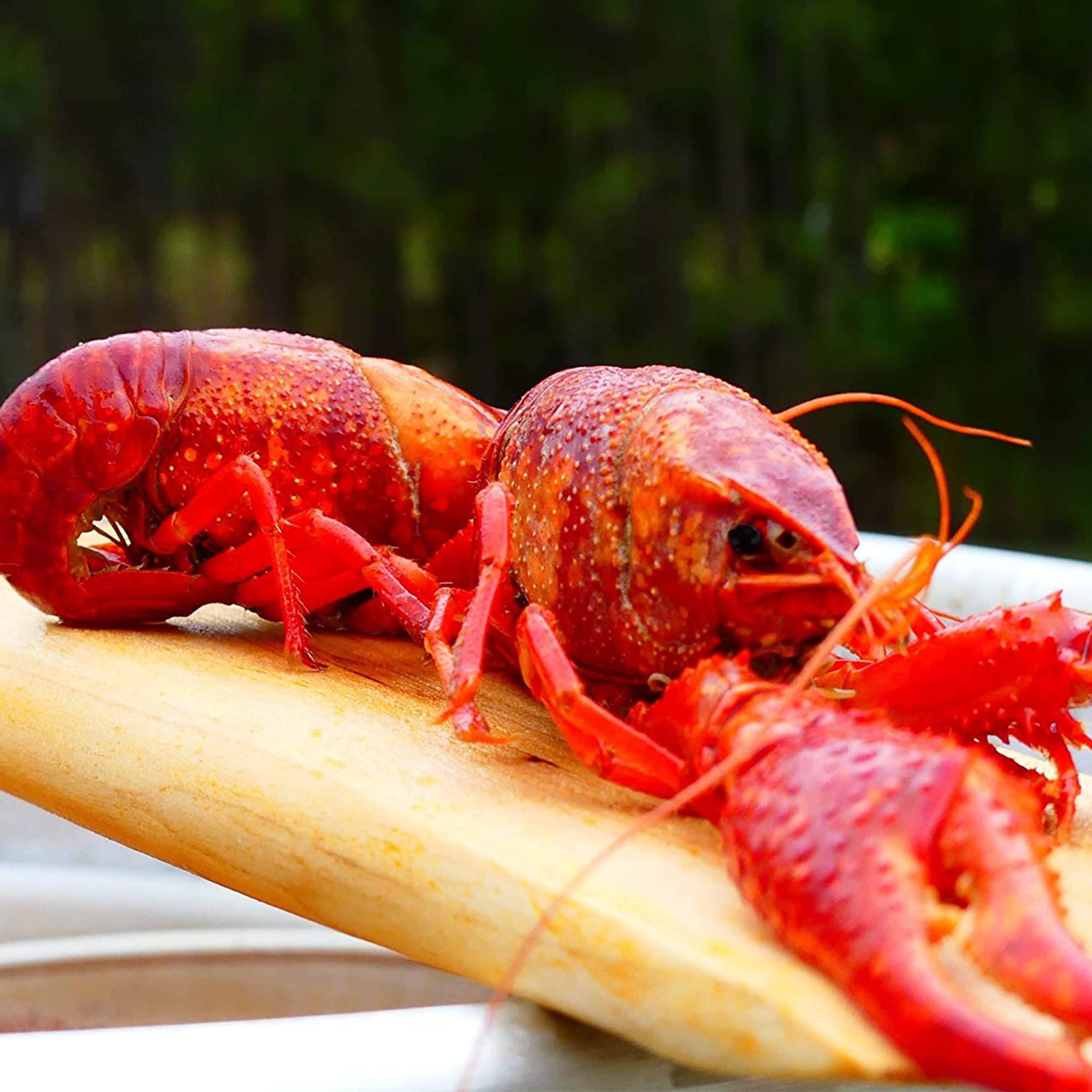 Bayou Classic Bayou Classic 1001, 35-in Wooden Cajun Stir Paddle