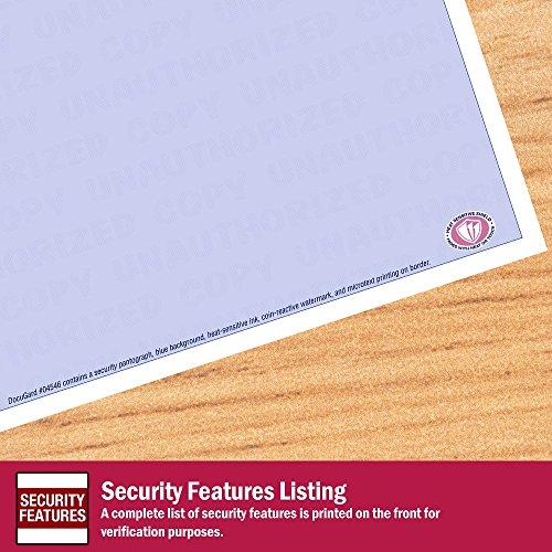 DocuGard DocuGard Advanced Blue Multi-Purpose Security Paper, 7 Features, 8.5 x 11 Inches, 24 lb, 500 Sheets (04546)