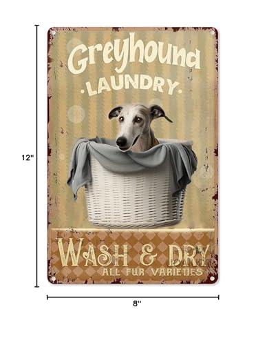 Pzecaru Pzecaru Greyhound Canvas Wall Art Greyhound Laundry Wash & Dry All Fur Varieties Print Painting Modern Canvas Wall Art For Living Room Farmhouse Wall Decor Vintage Poster Unframed 8x12 Inch