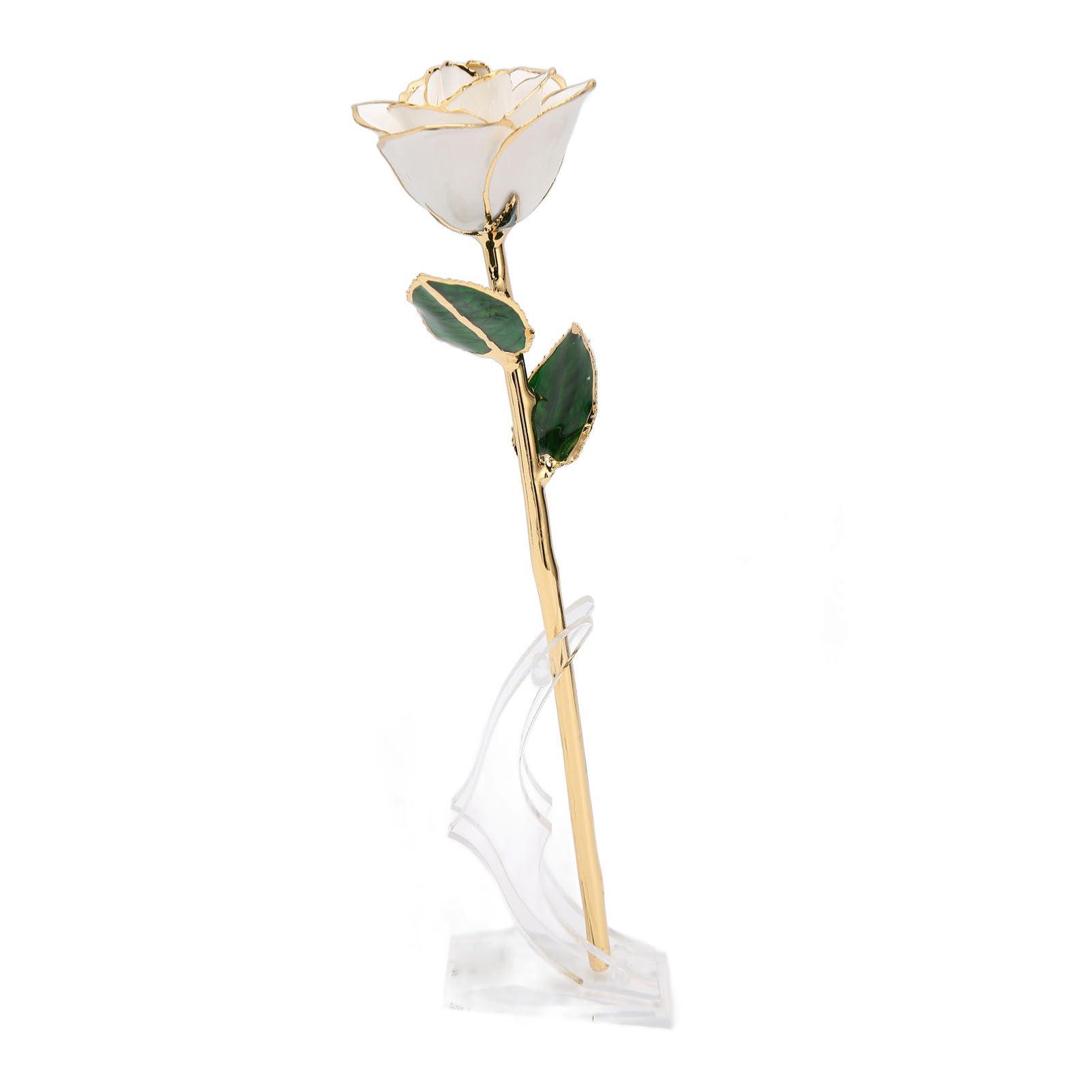 OUCRIY OUCRIY 24K Gold Plated Rose with Stand Gold Dipped Rose Flower Decoration for Valentine\'s Day and Anniversary