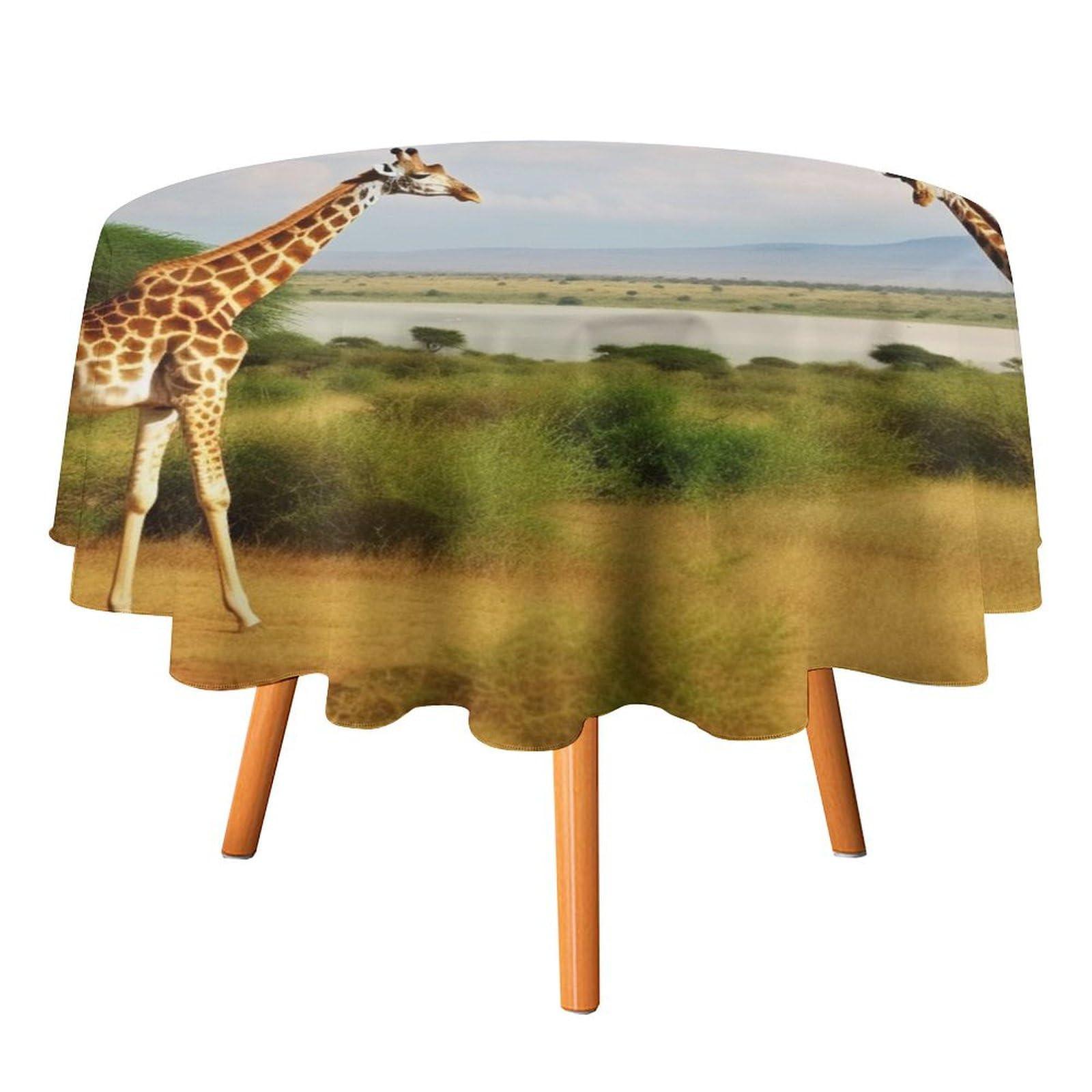 KAFFA ROASTER KALDI Coffee Roaster - Motor Drive Type (Roaster Only)