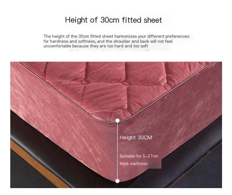 PUCHYUCT True Happiness Is To Enjoy The Present Canvas Wall Art Lucius Annaeus Seneca Poster Tree Print Vintage Decor Stretched And Framed Ready To Hang For Living Room,Bedroom,Classroom Etc (16\" X 24\")